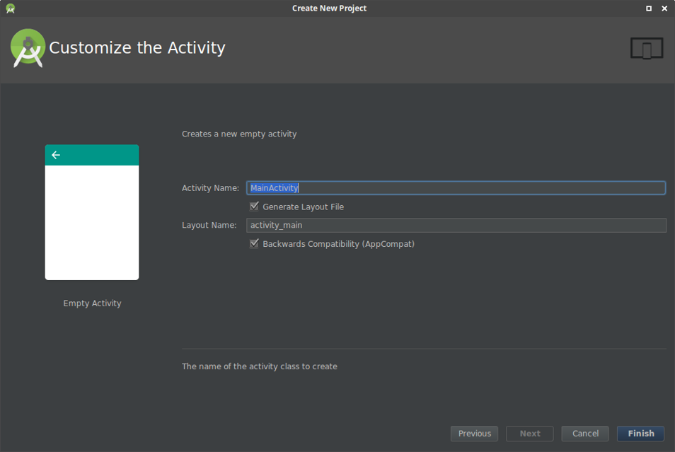 Customizing Activity